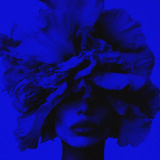 Iris Wallpaper by BIBBI (Eau de Parfum)