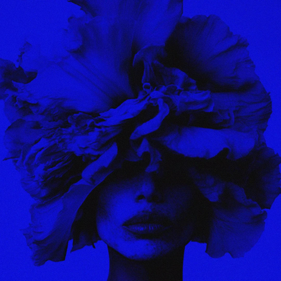 Iris Wallpaper by BIBBI (Eau de Parfum)