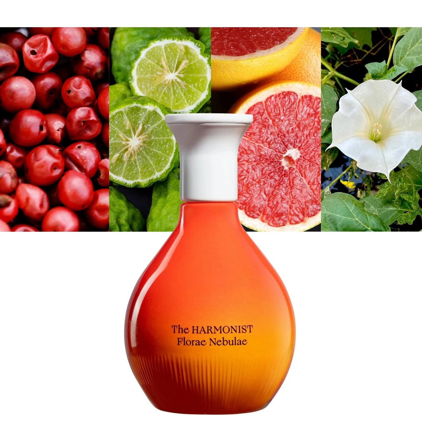 Florae Nebulae by THE HARMONIST (Pure Perfume)