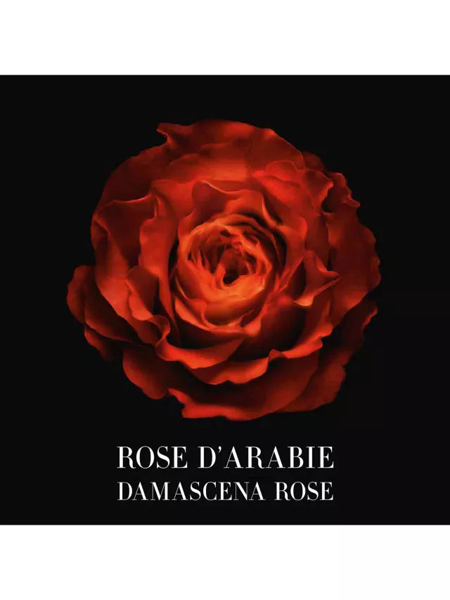 Privé Rose D'Arabie by ARMANI (Eau de Parfum)