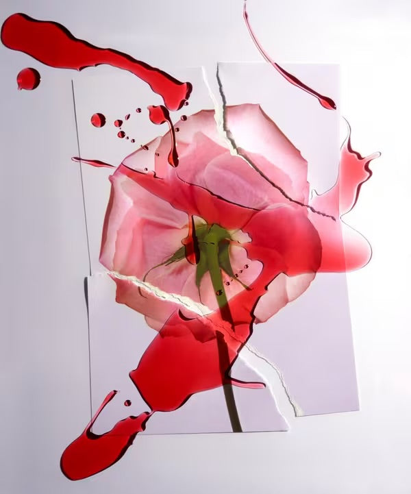 Spiky Muse by Ex Nihilo (Eau de Parfum)