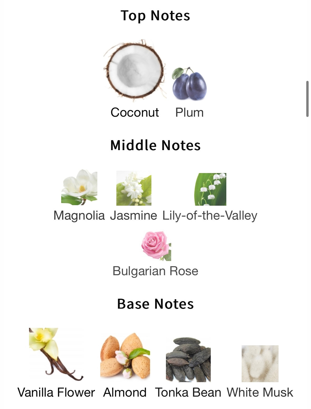 Blanc de Zhang by Simimi (Extrait de Parfum)