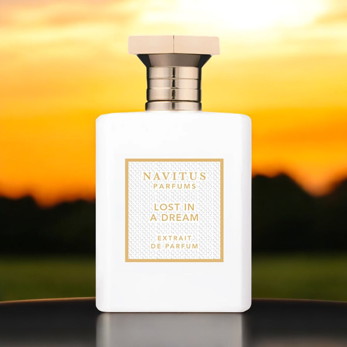 Lost In A Dream by Navitus Parfums (Extrait De Parfum)