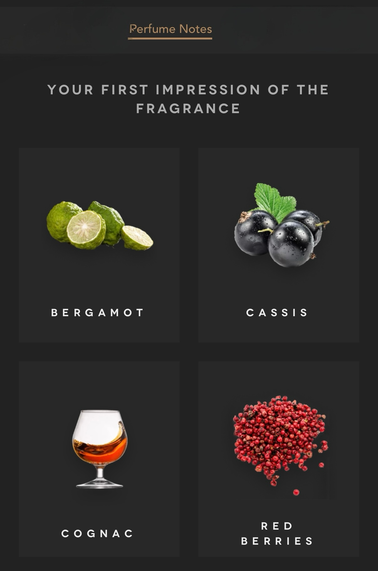 ICE TWIST by BOADICEA THE VICTORIOUS (Eau de Parfum)