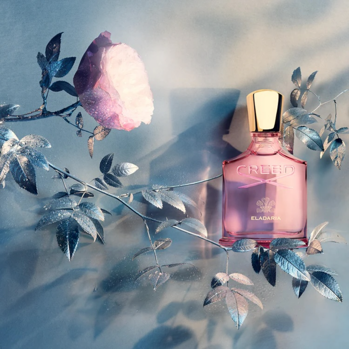 Eladaria by CREED (Eau de Parfum)