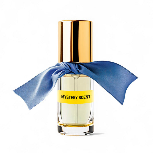 Secret Scent for Him by Fragrance Revolution Boutique (Eau de Parfum)